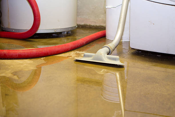 Best Water damage restoration mold remediation  in Weslaco, TX