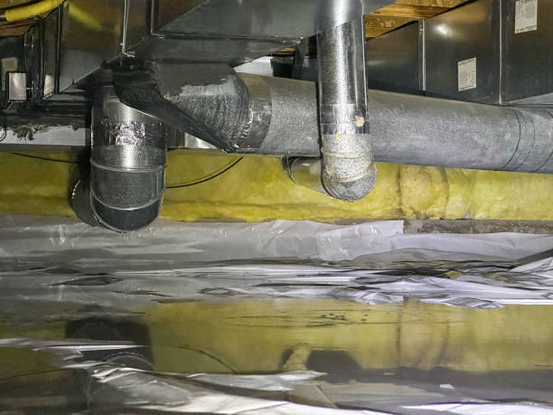 Best Basement water damage restoration  in Weslaco, TX
