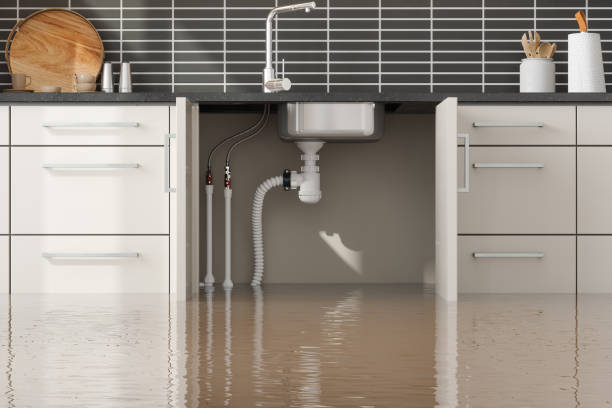 Best Flood damage cleanup  in Weslaco, TX